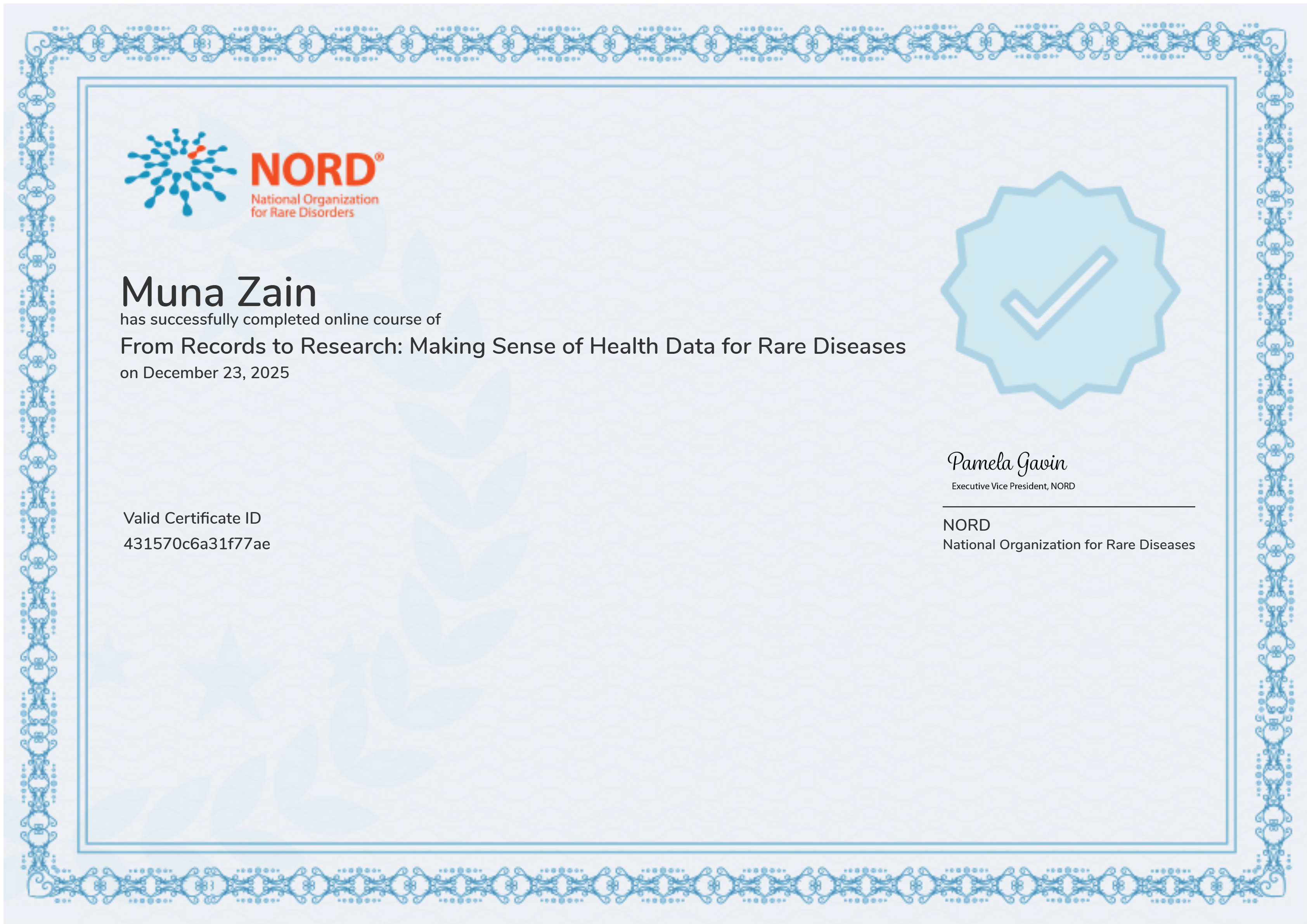 From Records to Research: Making Sense of Health Data for Rare Diseases